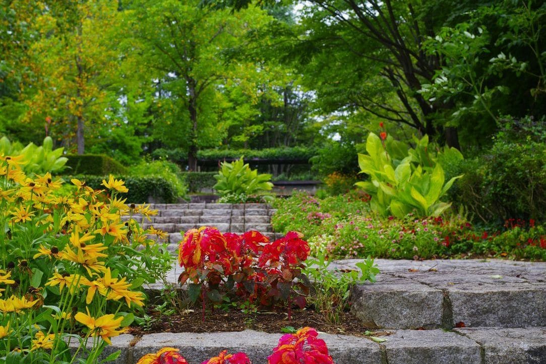 Saisonale Gartenarbeiten
